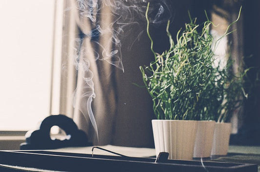 Ebène Fumé y el auge del palo santo en perfumería